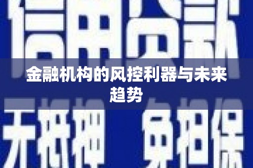 长阳金融机构的风控利器与未来趋势