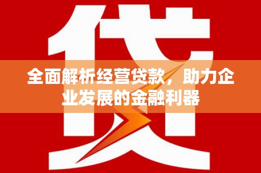 长阳全面解析经营贷款，助力企业发展的金融利器