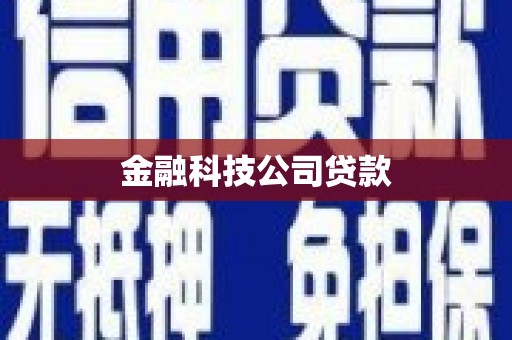 长阳金融科技公司贷款