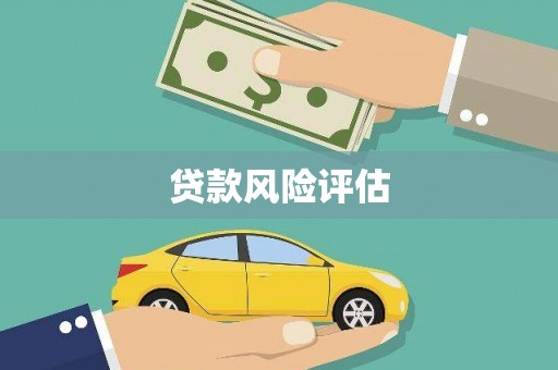 长阳贷款风险评估