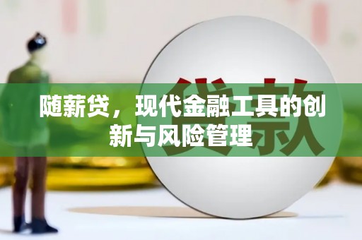 长阳随薪贷，现代金融工具的创新与风险管理