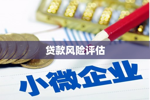 长阳贷款风险评估