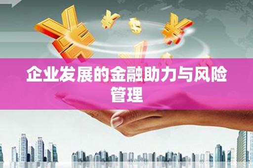 长阳企业发展的金融助力与风险管理