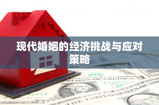 长阳现代婚姻的经济挑战与应对策略