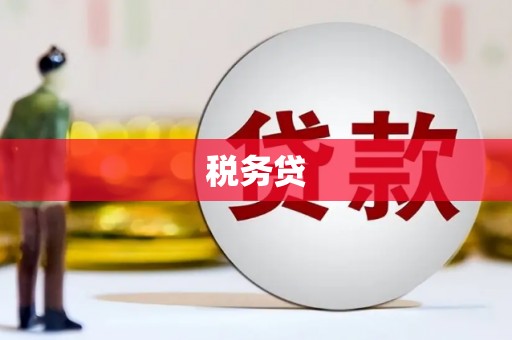 长阳税务贷