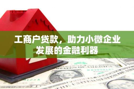 长阳工商户贷款，助力小微企业发展的金融利器