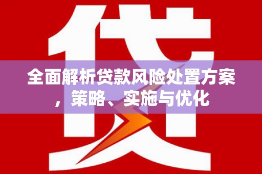 长阳全面解析贷款风险处置方案，策略、实施与优化