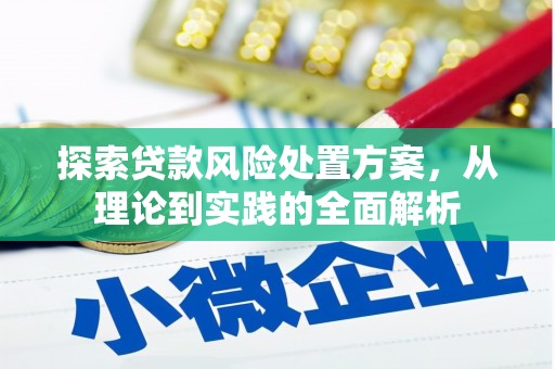 长阳探索贷款风险处置方案，从理论到实践的全面解析