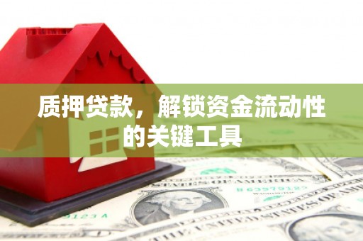 长阳质押贷款，解锁资金流动性的关键工具