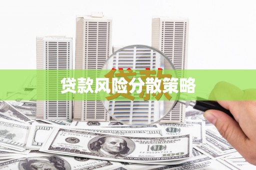 长阳贷款风险分散策略