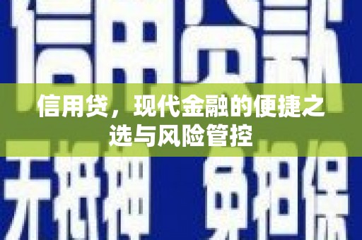 长阳信用贷，现代金融的便捷之选与风险管控