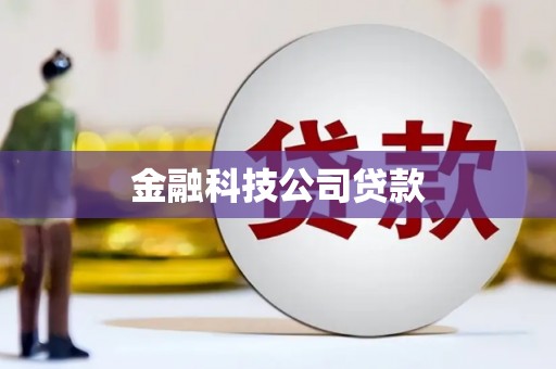 长阳金融科技公司贷款