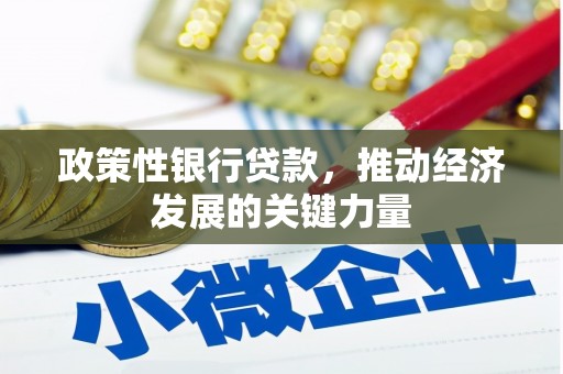 长阳政策性银行贷款，推动经济发展的关键力量