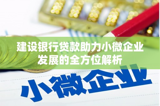 长阳建设银行贷款助力小微企业发展的全方位解析