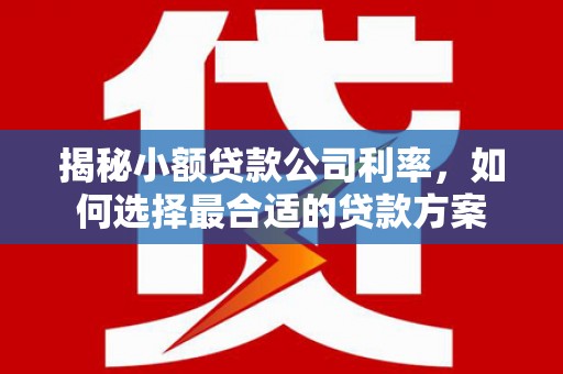 长阳揭秘小额贷款公司利率，如何选择最合适的贷款方案