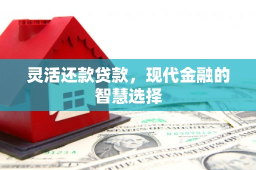 长阳灵活还款贷款，现代金融的智慧选择