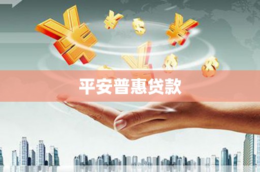 长阳平安普惠贷款