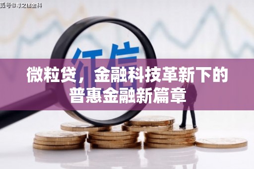 长阳微粒贷，金融科技革新下的普惠金融新篇章