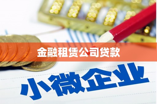 长阳金融租赁公司贷款