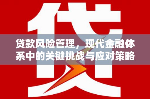 长阳贷款风险管理，现代金融体系中的关键挑战与应对策略