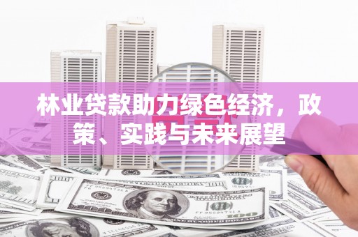 长阳林业贷款助力绿色经济，政策、实践与未来展望