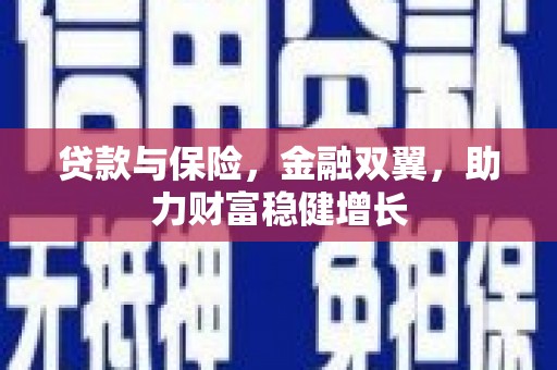 长阳贷款与保险，金融双翼，助力财富稳健增长