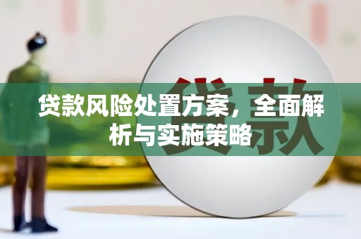 长阳贷款风险处置方案，全面解析与实施策略