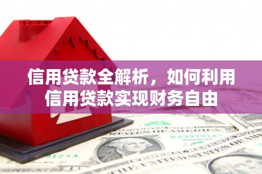 长阳信用贷款全解析，如何利用信用贷款实现财务自由