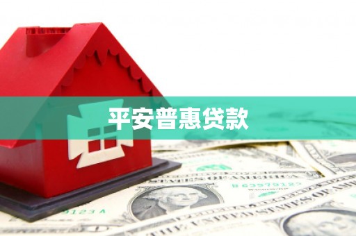 长阳平安普惠贷款